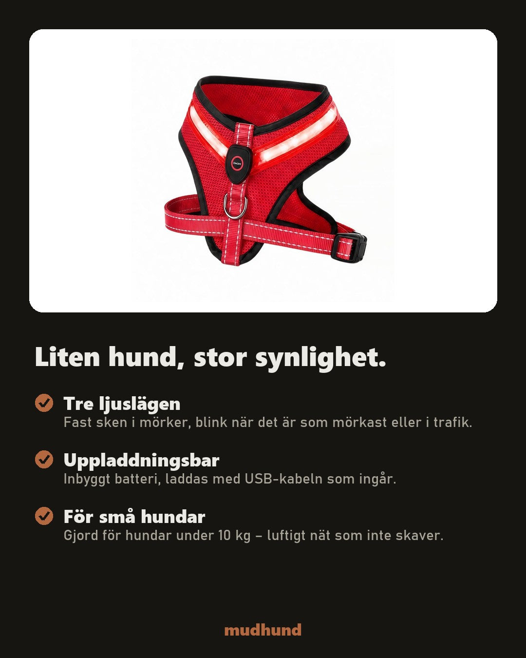LED-väst som lyser i mörkret – för små hundar