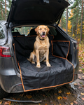Labrador på bagageskyddet i en kombibil vid en skogsparkering