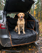 Labrador på bagageskyddet i en kombibil vid en skogsparkering